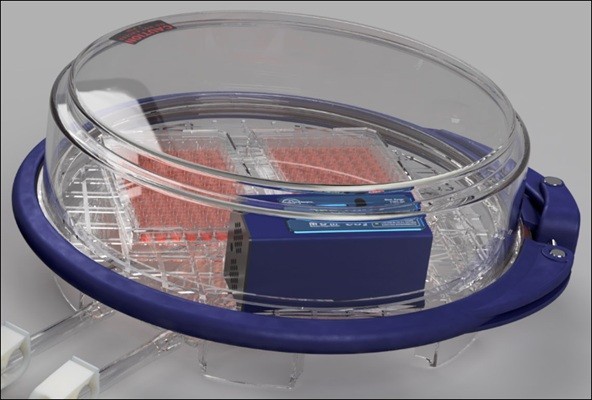 Hypoxia Incubator Chamber低氧培养盒/缺氧小室