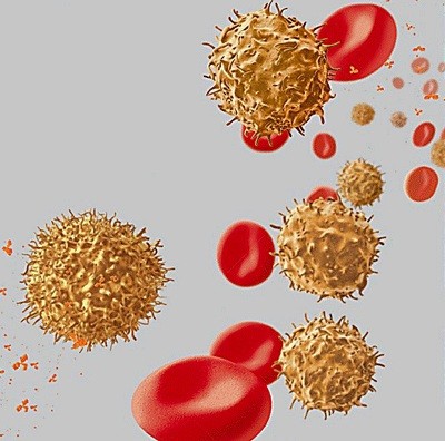 Human Cord Blood CD34+ Cells 人脐血CD34细胞/造血干细胞(冻存)